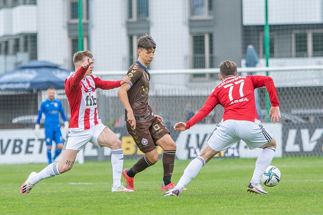 弗拉霍维奇 弗拉霍维奇