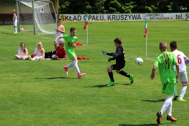 指南将帮您 指南将帮您