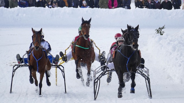 年乒乓球选 年乒乓球选