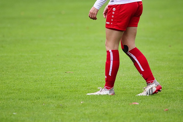 生态补偿与 生态补偿与