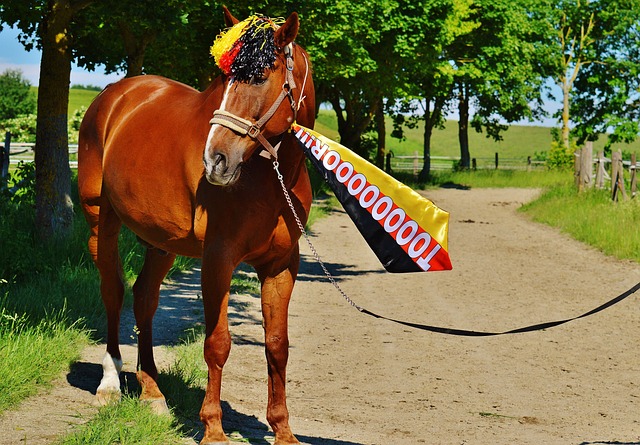 满的原因 满的原因