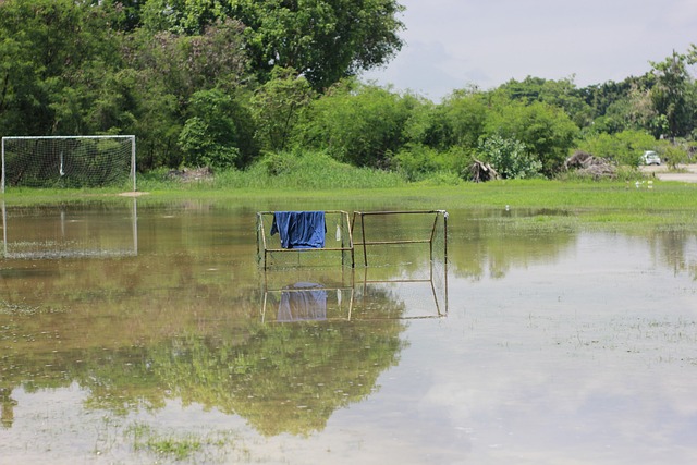 云南是一个 云南是一个