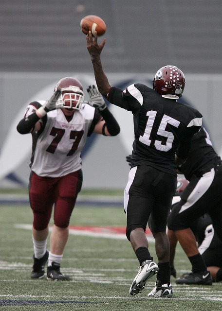 引发众多讨 引发众多讨