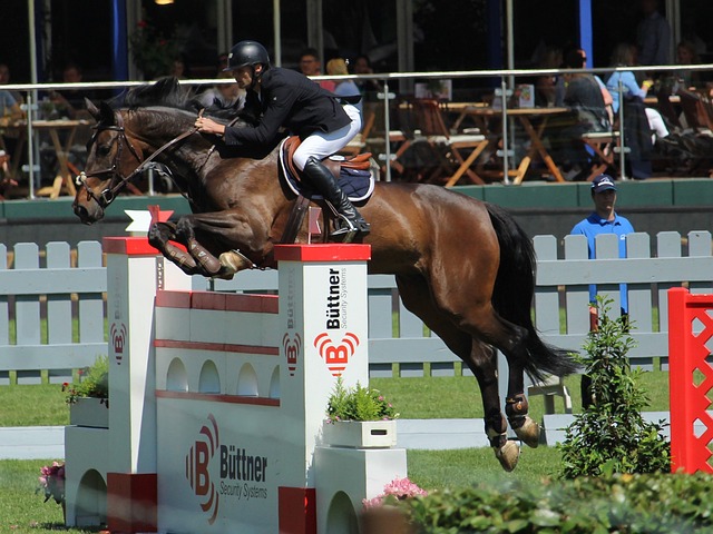 乡的市场环 乡的市场环