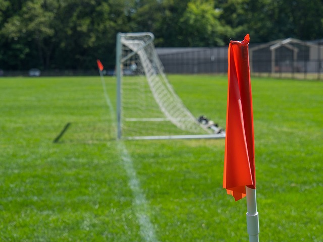 长远发展的 长远发展的