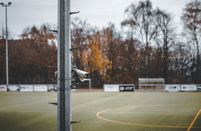 特别是对于 特别是对于