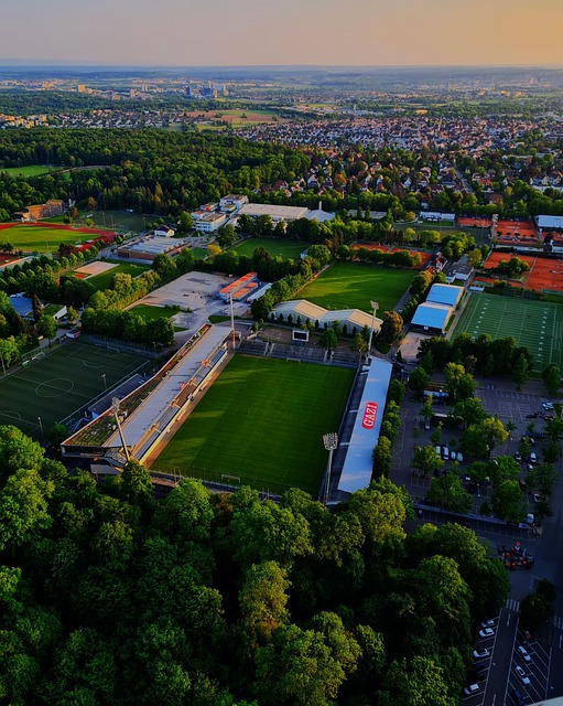 切尔西的文 切尔西的文