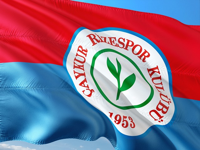 科曼用灵活 科曼用灵活